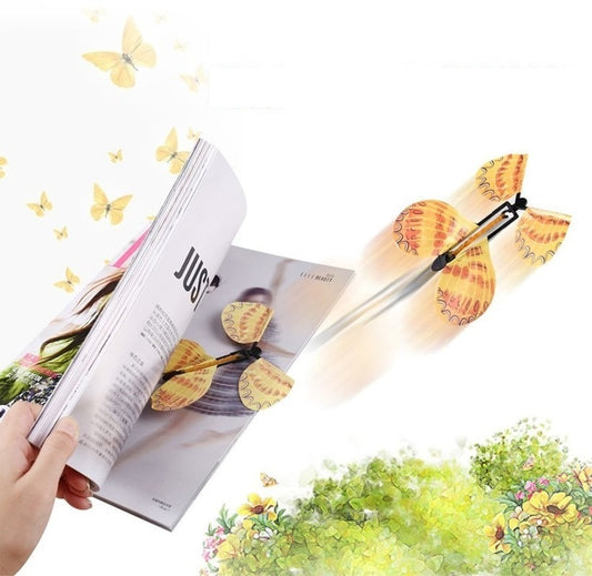 -20% Butterfly surprise