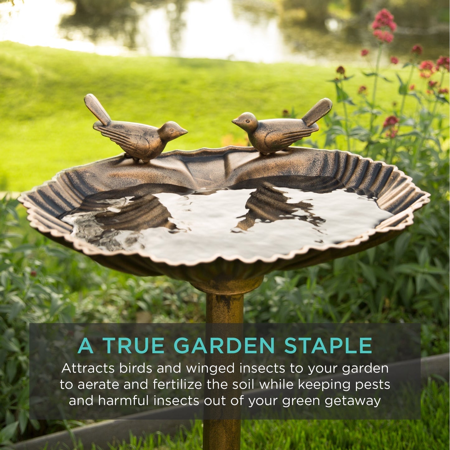 Pedestal Bird Bath Decoration w/ Sparrow Statues