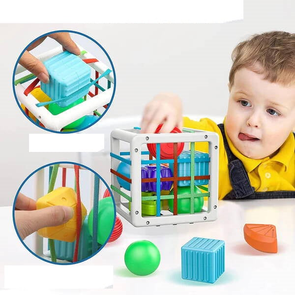 -30% Colorful Shape Sorting